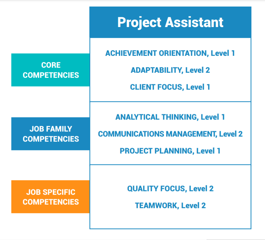 What’s The Difference Between Skills and Competencies?
