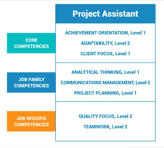 competency profile example