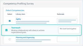 screenshot of competency profiling survey